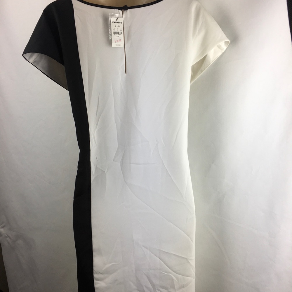 Express Dress - Picture 4 of 4